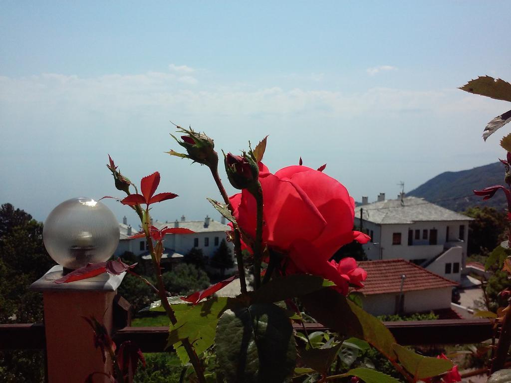 Hotel Alkmini Áyios Dhimítrios Esterno foto